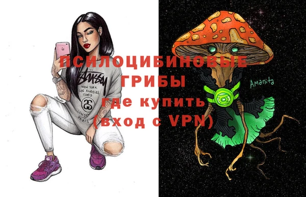 хмурый Алексеевка