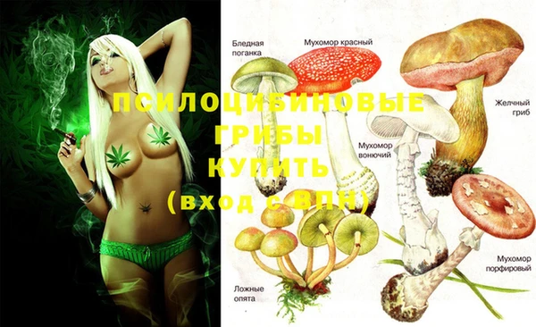 хмурый Алексеевка