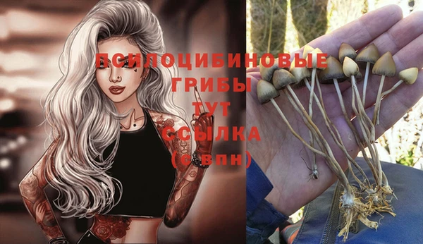 MESCALINE Алексин