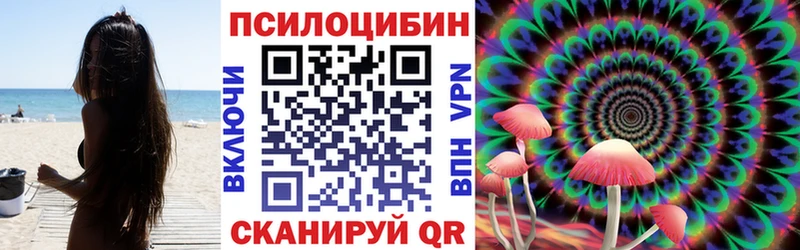 Псилоцибиновые грибы мицелий  Сосновый Бор 
