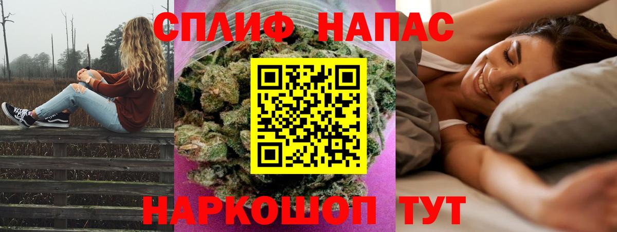 Канабис сатива Сосновый Бор